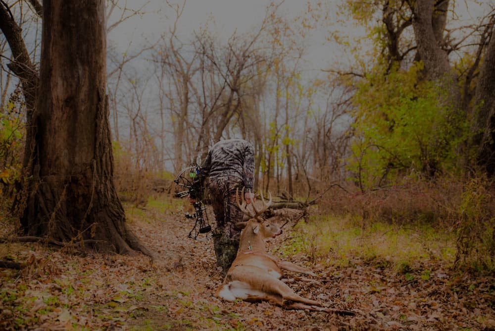 Bowhunter with a trophy whitetail buck in the Nebraska river bottoms